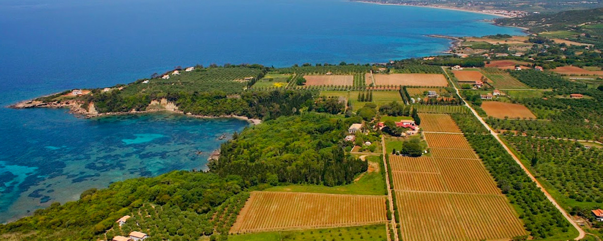 Tenuta Mercouri - Ellenikà