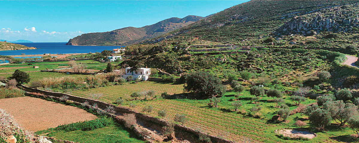 Domaine de l'Apocalypse Patoinos - Ellenikà