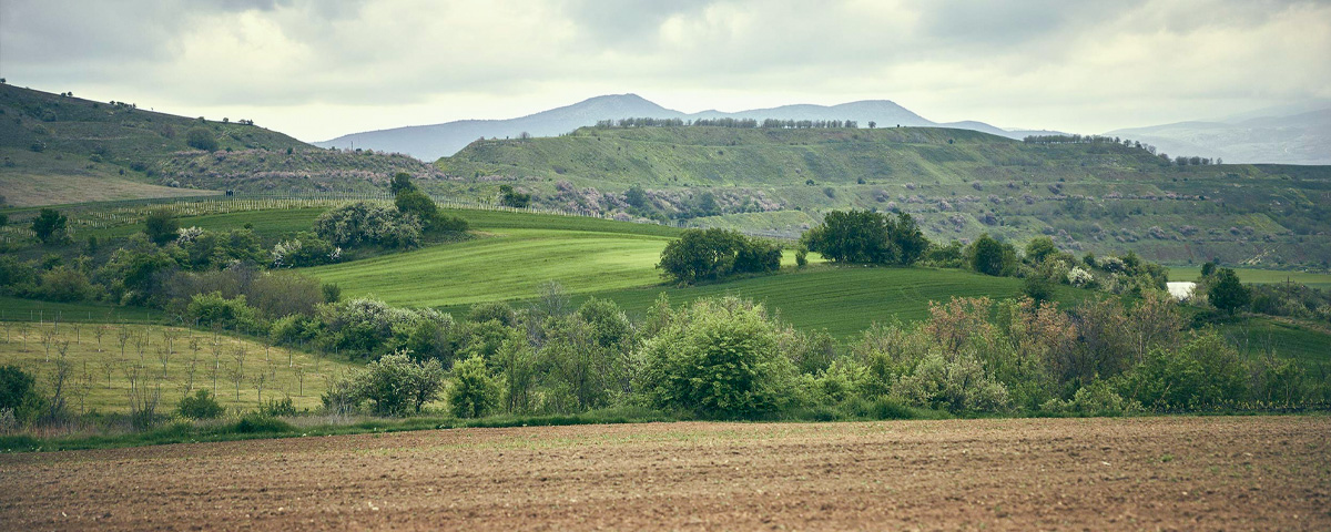 Tenuta Karanika - Ellenikà