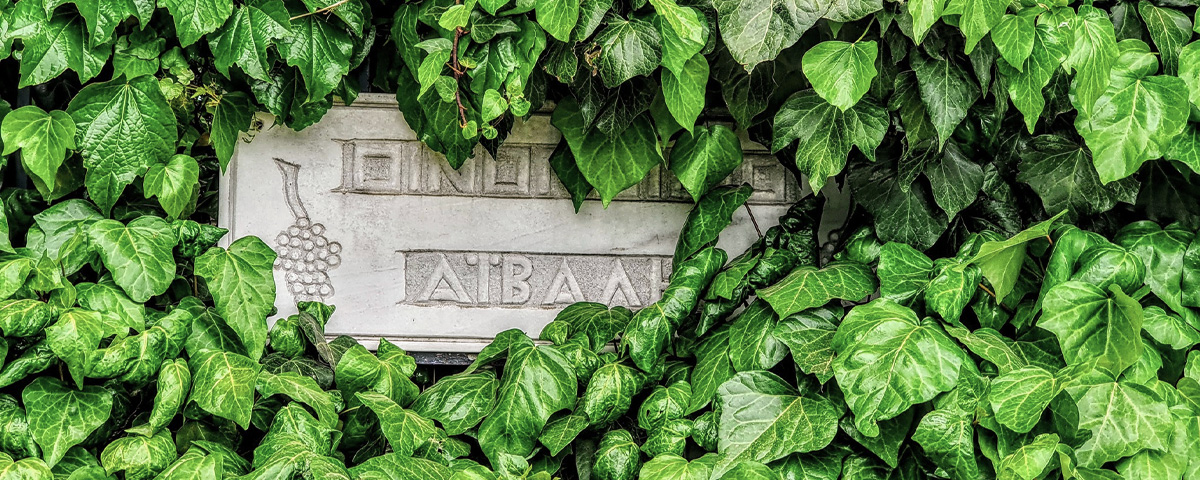 Cantina Aivalis - Ellenikà