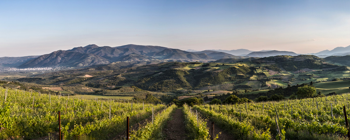 Tenuta Karadimos - Ellenikà